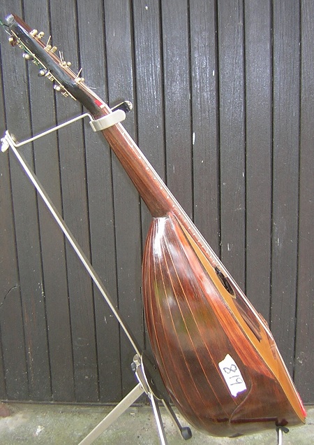 bowed mandolin